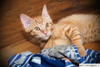 /album/marticizkova/dsc-0106-61-jpg/