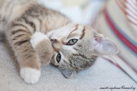 /album/marticizkova/dsc-0714-jpg/