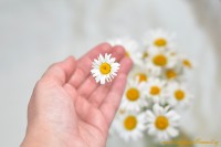 /album/marticizkova/dsc-1386-jpg1/