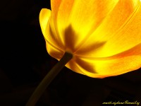 /album/marticizkova/p1040441-jpg/