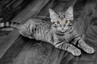 /album/marticizkova/web-dsc-0035-17k-upr-jpg/