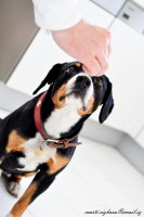 /album/marticizkova/dsc-0137-jpg/